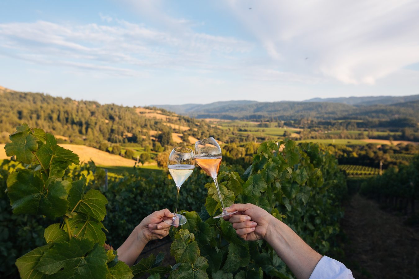Vineyard views in Mendocino County wine country