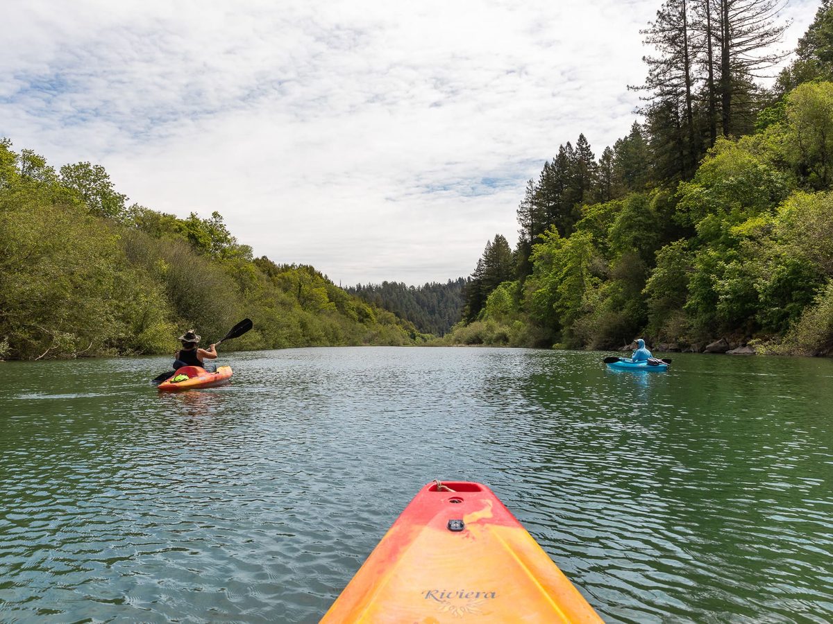 Kayakers enjoying the scenic Russian River in Northern California